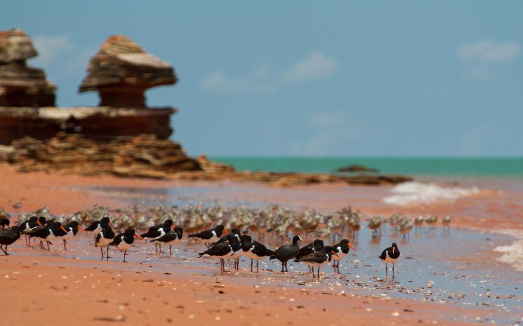 Broome Bird Observatory Exterior photo